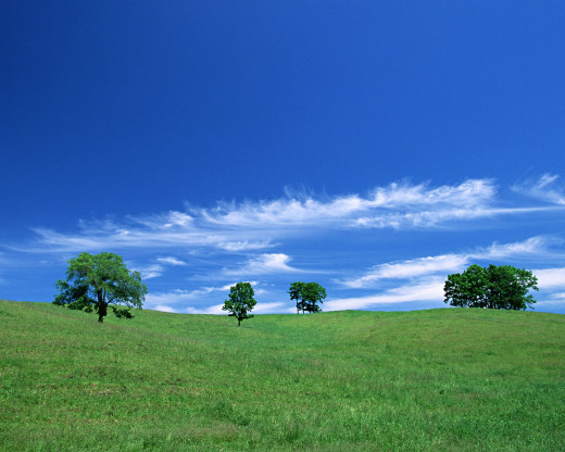 42284 (a): :1280x1024